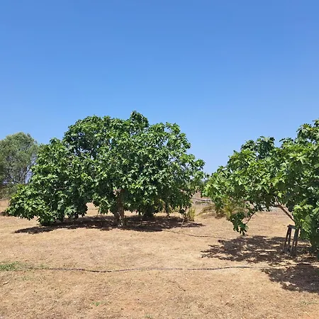 Hébergement de vacances Pura Natura *